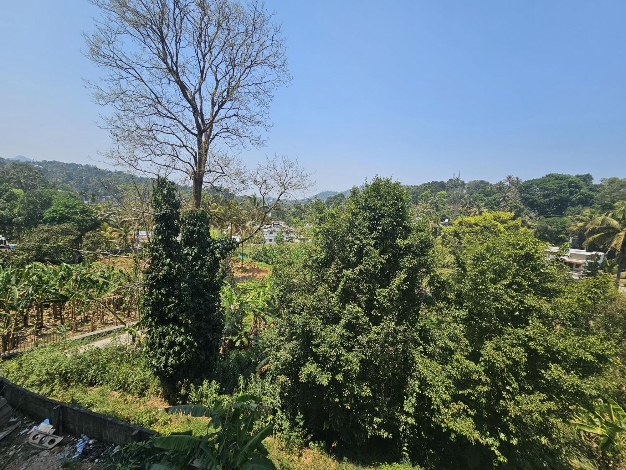 Mist Residency Hotel Kattappana Luaran gambar